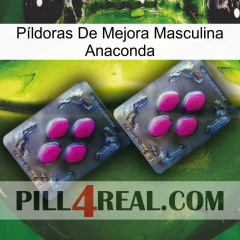 Píldoras De Mejora Masculina Anaconda 01